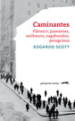 Caminantes. Flâneurs, paseantes, walkmans, vagabundos, peregrinos