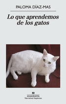 Que aprendemos de los gatos, Lo