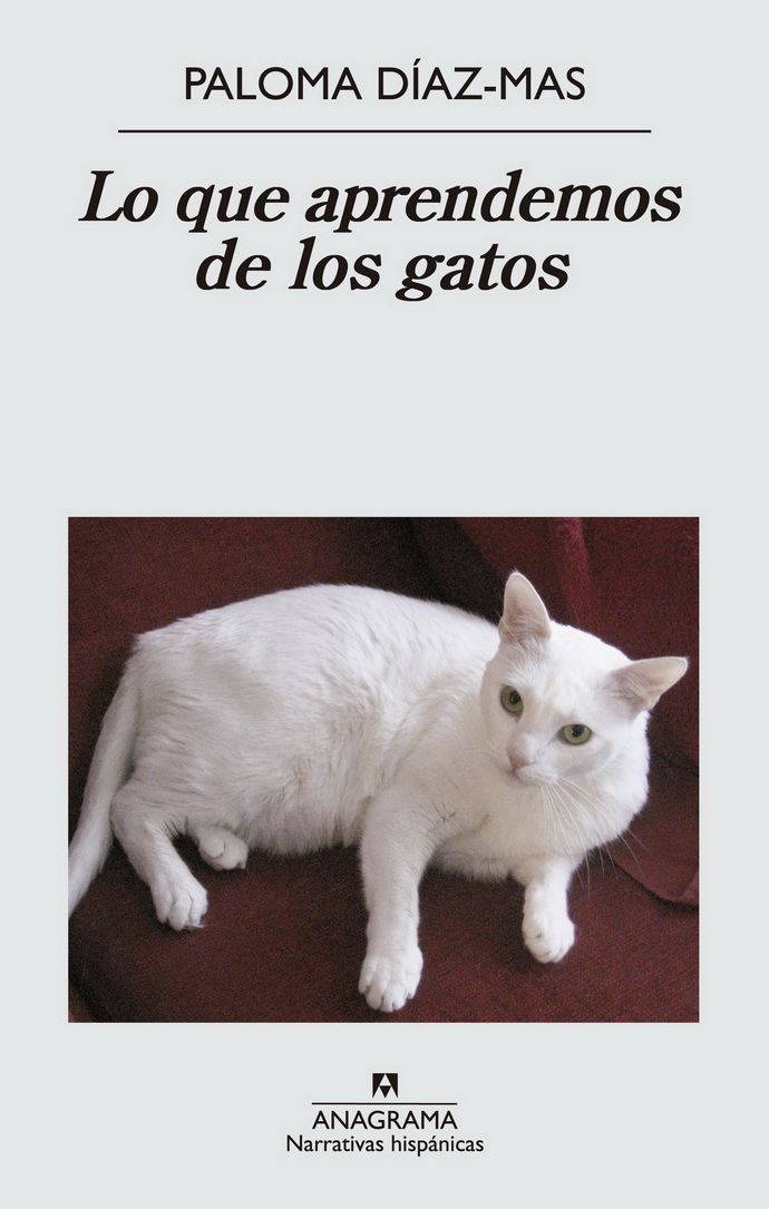 Que aprendemos de los gatos, Lo