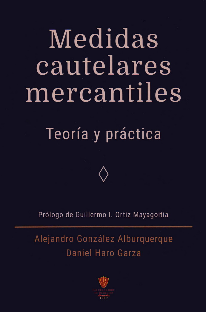 Medidas cautelares mercantiles. Teoría y práctica