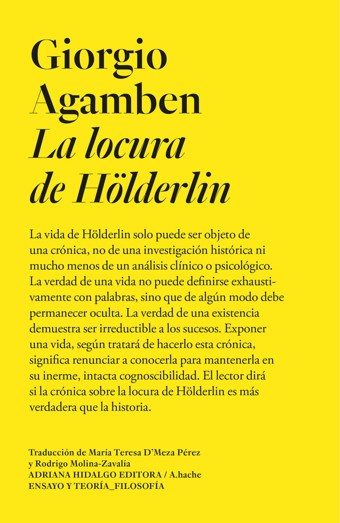 Locura de Hölderlin, La