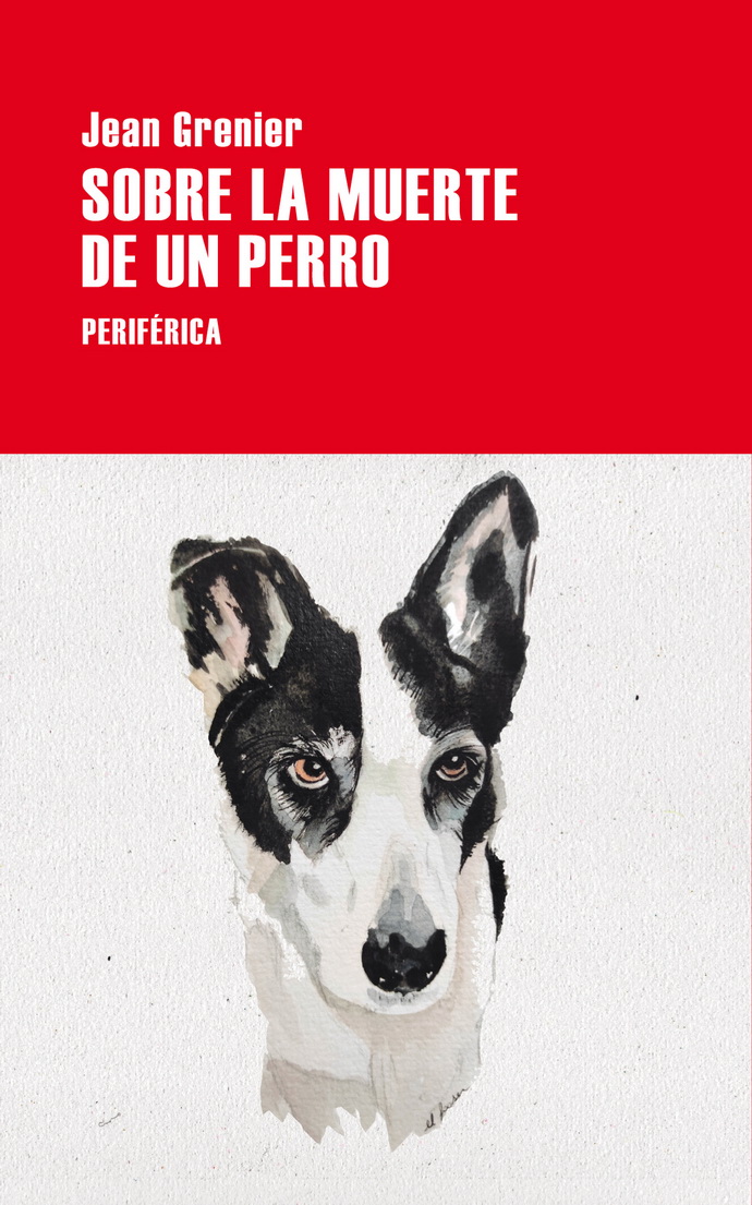 Sobre la muerte de un perro