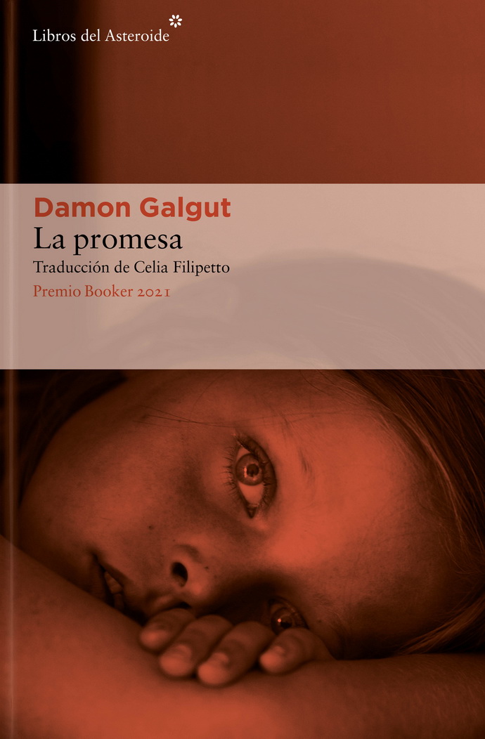 La-promesa-Damon-Galgut