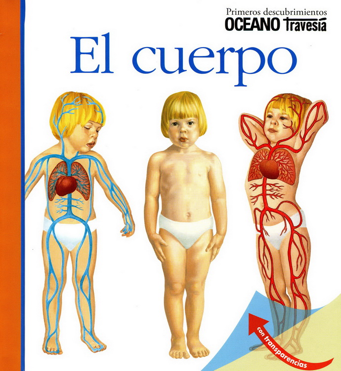 Cuerpo, El